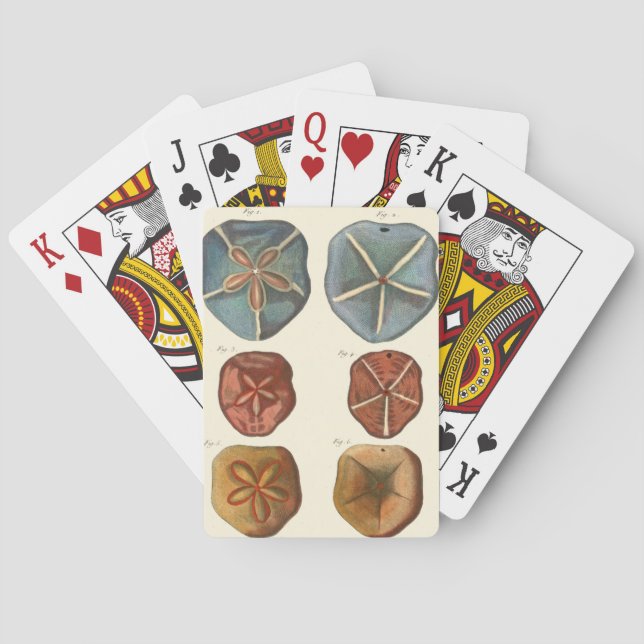 Baraja De Cartas Gemas de los dólares de arena (Reverso)