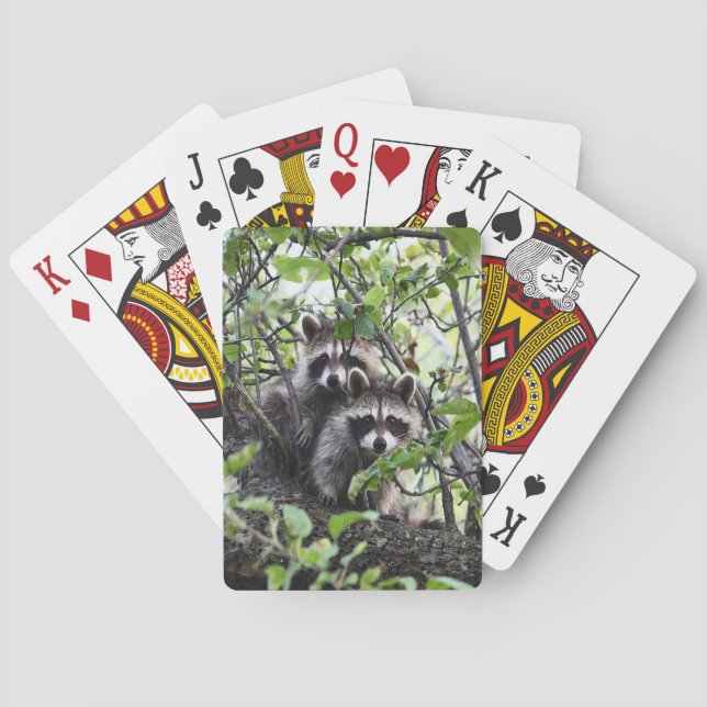 Baraja De Cartas Gemelos (Reverso)