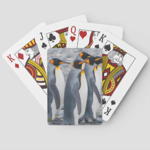 Baraja De Cartas Georgia del sur. Pingüinos de rey