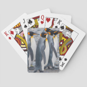 Baraja De Cartas Georgia del Sur. Pingüinos rey