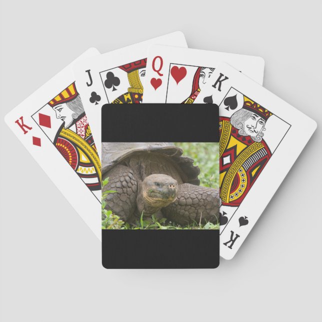 Baraja De Cartas Giant turtle (Reverso)