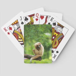 Baraja De Cartas Gibbon con las manos blancas en un árbol