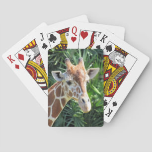 Baraja De Cartas Giraffe - Bicycle Playing Cards
