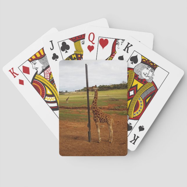 Baraja De Cartas Giraffe Licando Su Polo, (Reverso)