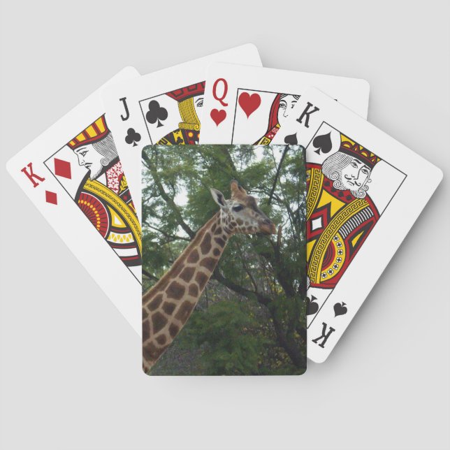 Baraja De Cartas Giraffe Pasando Por Parklands (Reverso)