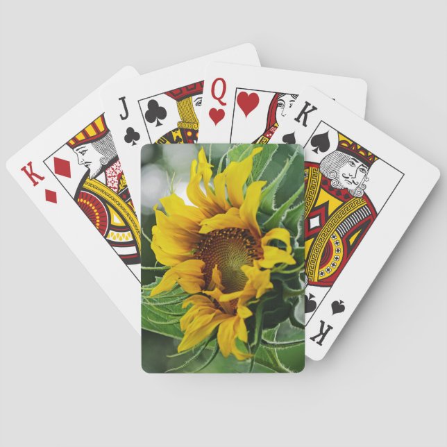 Baraja De Cartas Girasol (Reverso)