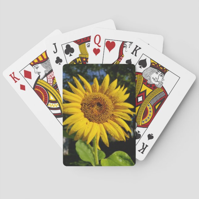 Baraja De Cartas Girasol (Reverso)