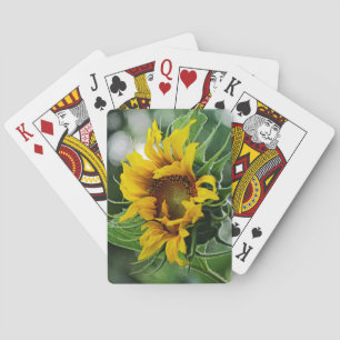 Baraja De Cartas Girasol