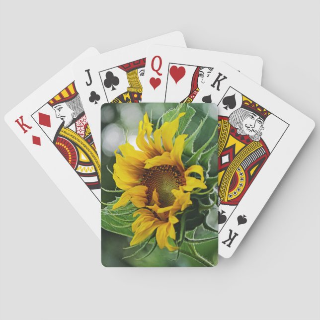 Baraja De Cartas Girasol (Reverso)