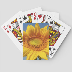 Baraja De Cartas Girasol amarillo