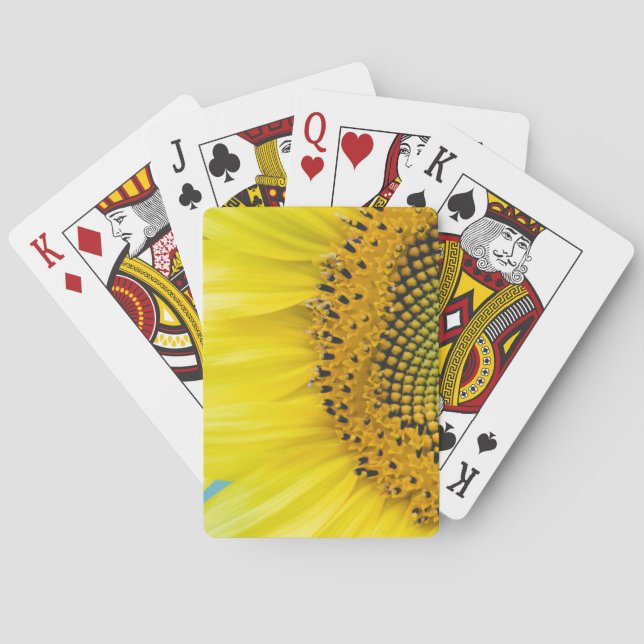 Baraja De Cartas Girasol brillante (Reverso)