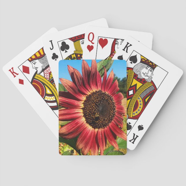 Baraja De Cartas Girasol rojo con abeja (Reverso)