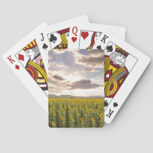 Baraja De Cartas Girasoles en la puesta del sol