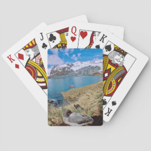 Baraja De Cartas Glaciares y yate de vela al fondo