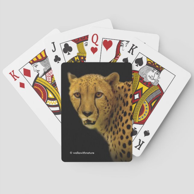 Baraja De Cartas Glances comerciales con un chita magnífico (Reverso)