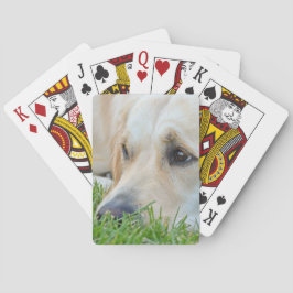 Baraja De Cartas Golden Pup
