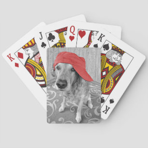 Baraja De Cartas Golden Retriever con tapa roja