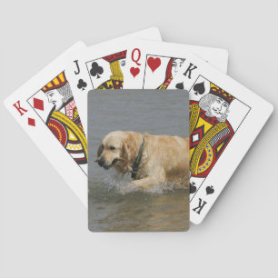 Baraja De Cartas Golden retriever en agua