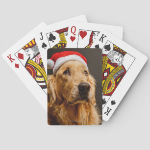 Baraja De Cartas Golden Retriever posing for his Christmas
