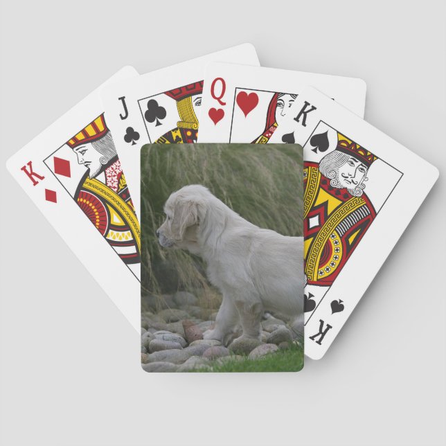 Baraja De Cartas Golden Retriever Puppy Standing (Reverso)