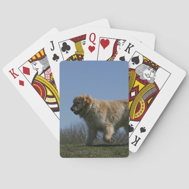 Baraja De Cartas Golden retriever que corre 3 (Reverso)