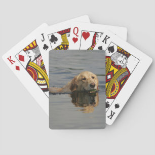 Baraja De Cartas Golden retriever que nada