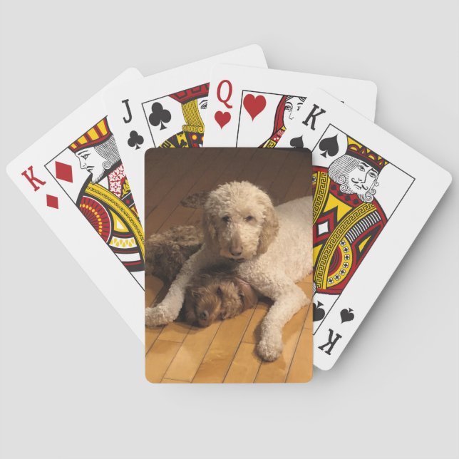 Baraja De Cartas Goldendoodle BFF (Reverso)