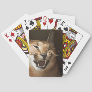 Baraja De Cartas Goofy Lynx