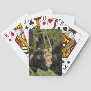 Baraja De Cartas Gorila de montaña, adulto con cría