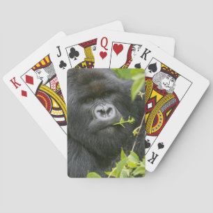 Baraja De Cartas Gorila de montaña espalda plateada