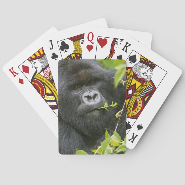 Baraja De Cartas Gorila de montaña espalda plateada (Reverso)