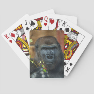 Baraja De Cartas Gorila Y Sus Berries