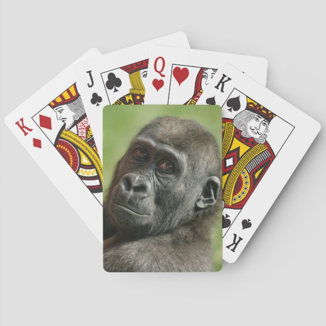 Baraja De Cartas Gorilla Youngster (Reverso)