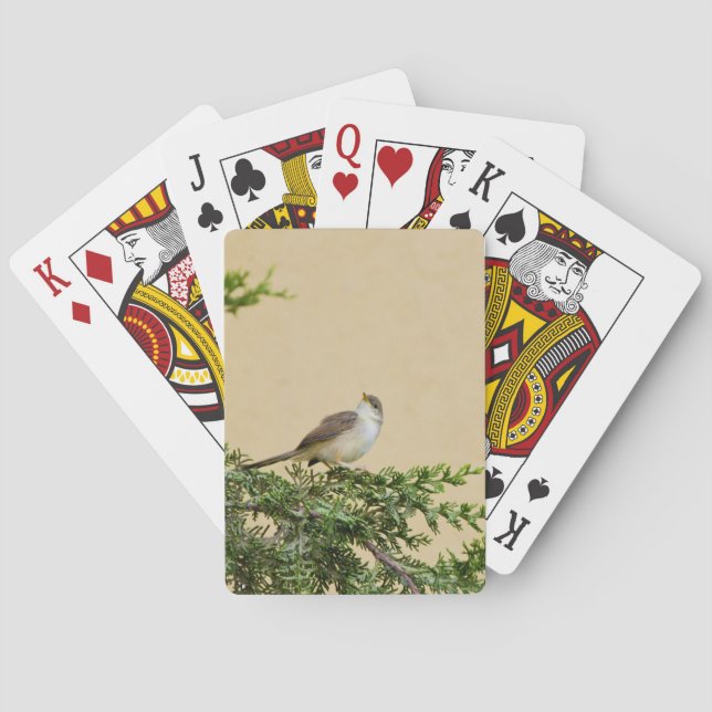 Baraja De Cartas Gorrión  (Reverso)