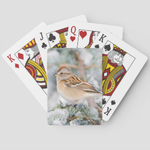 Baraja De Cartas Gorrión de árbol americano en invierno
