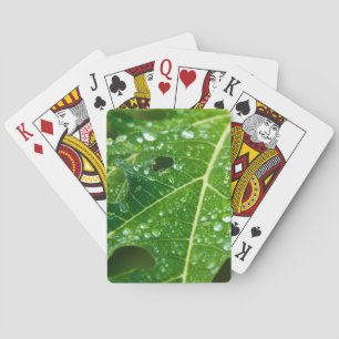 Baraja De Cartas Gotas de lluvia en la hoja verde de la papaya