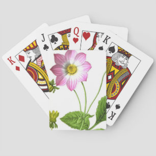 Baraja De Cartas Gracia