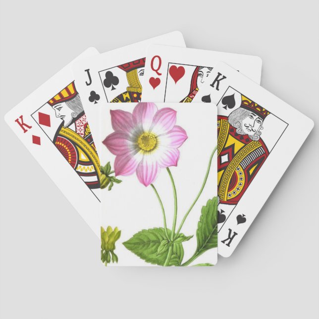 Baraja De Cartas Gracia (Reverso)