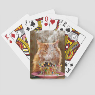 Baraja De Cartas Gracioso Gato Cranky Con Pastel De Cumpleaños Fund