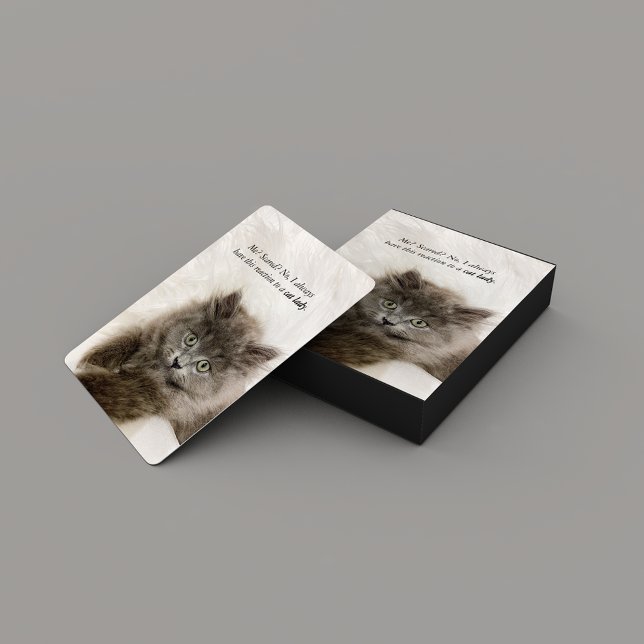 Baraja De Cartas Gracioso meme de gatos de gatito asustado (Subido por el creador)