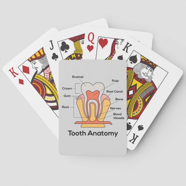 Baraja De Cartas Gráfica de anatomía dental (Reverso)