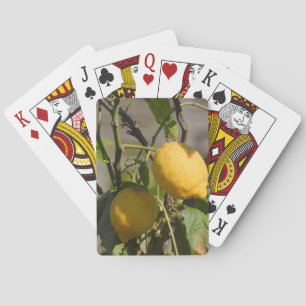 Baraja De Cartas Gráficos de Limón Españoles