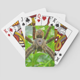 Baraja De Cartas Gran araña marrón
