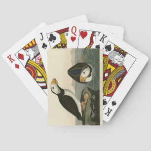 Baraja De Cartas Gran ataúd facturado - Aves de América de Audubon