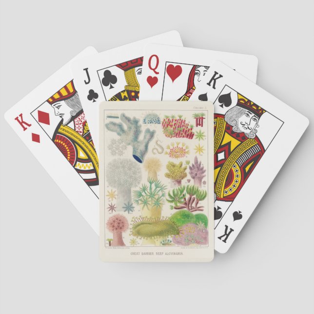 Baraja De Cartas Gran barrera de arrecife de Australia Alcyonaria (Reverso)