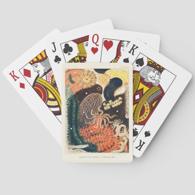 Baraja De Cartas Gran Barrera de Arrecife Trepang o Bêche-de-Mer (Reverso)
