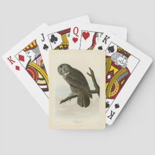Baraja De Cartas Gran búho cínico de las aves auduónicas de América