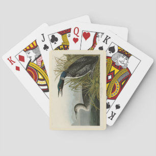 Baraja De Cartas Gran Diver del Norte Loon Aves Audubon de América