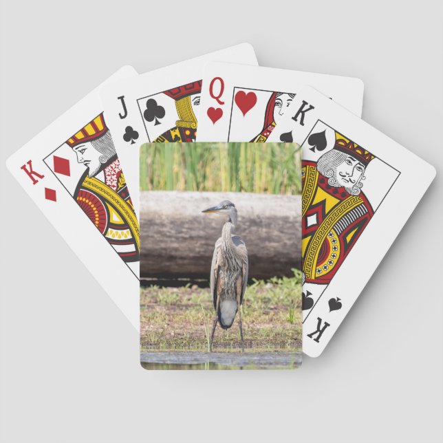 Baraja De Cartas Gran garza azul en el lago Champlain (Reverso)
