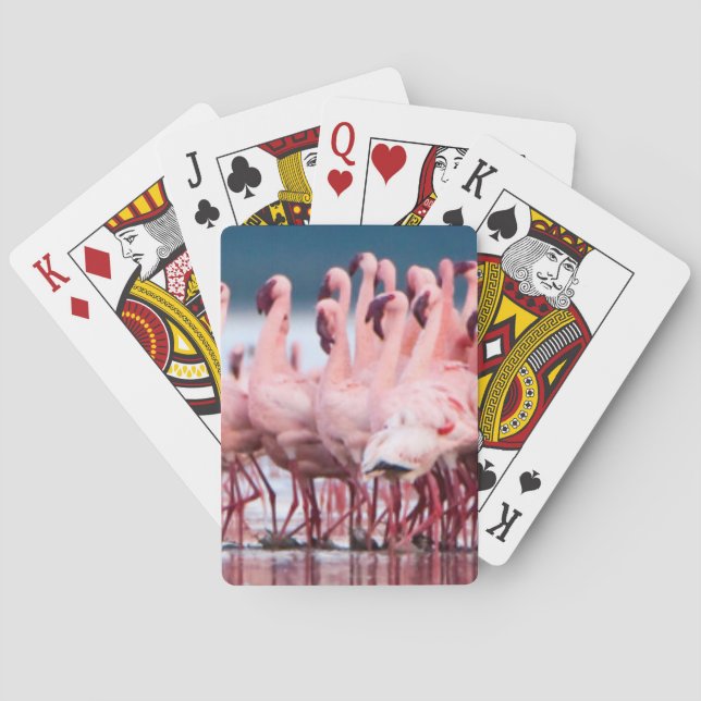 Baraja De Cartas Gran Grupo De Flamencos Menores (Reverso)